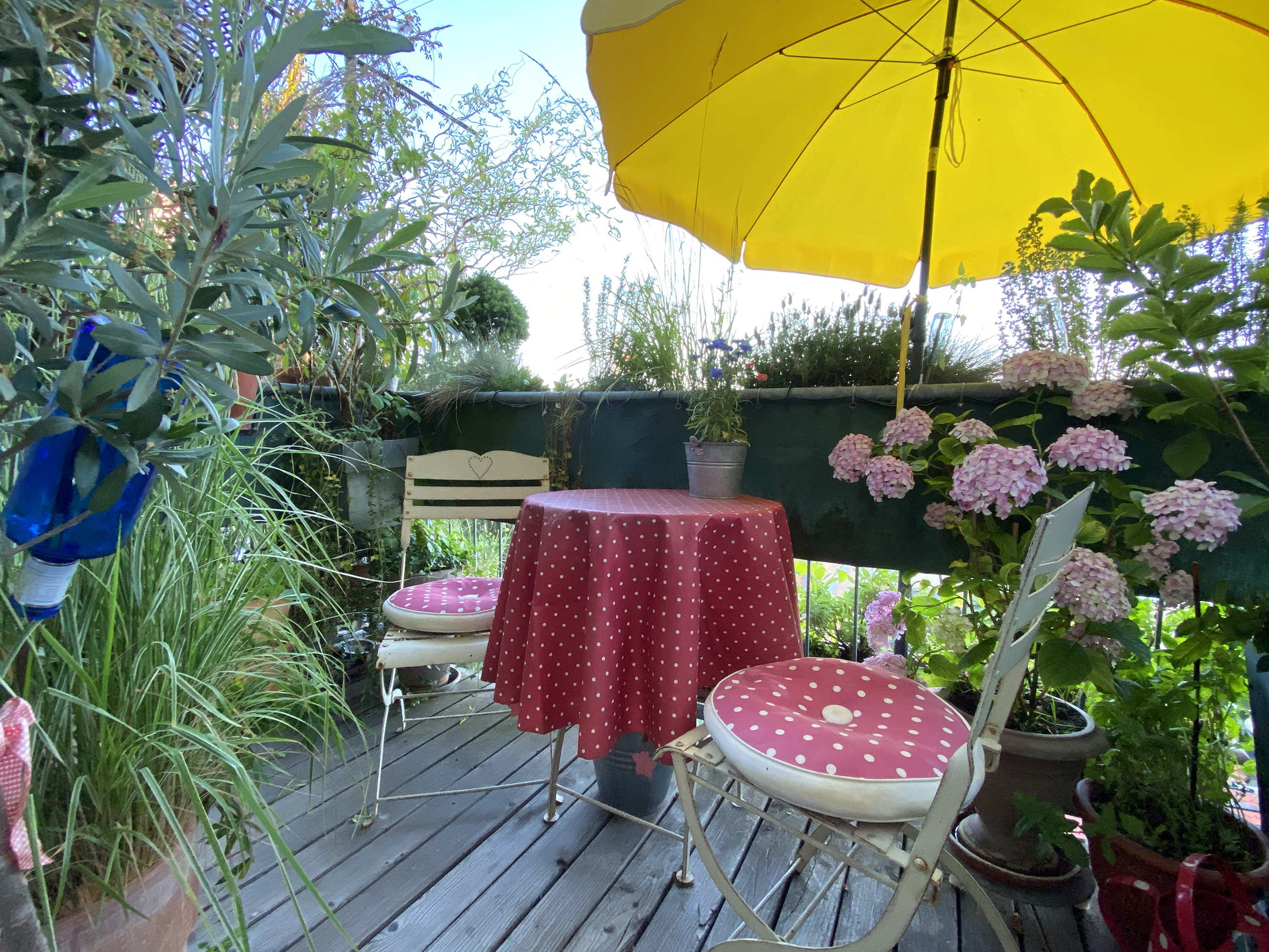 Urban Gardening Balkon