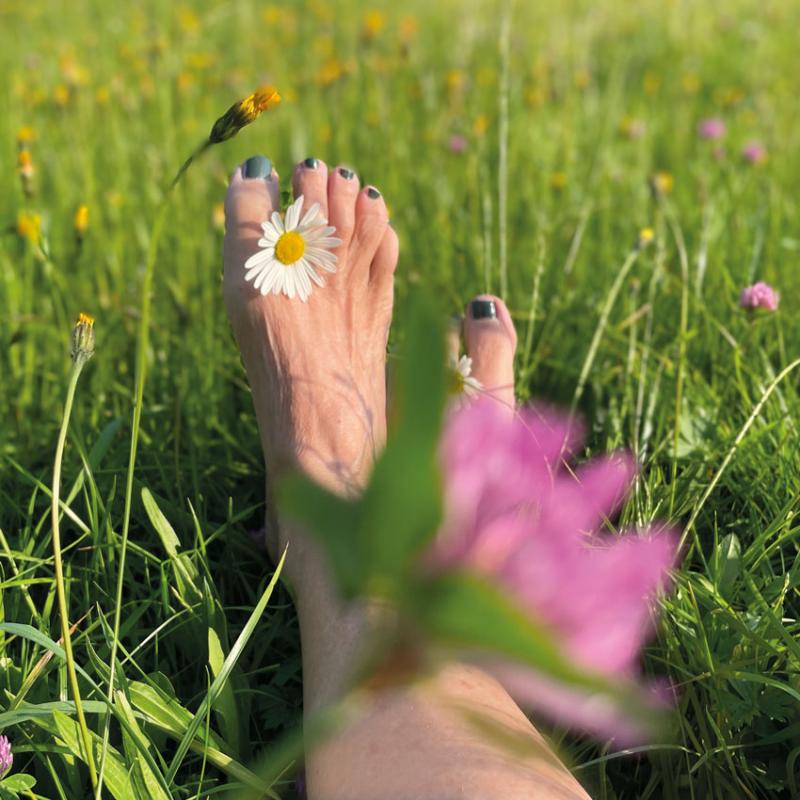 sommer-wiese-summervibes