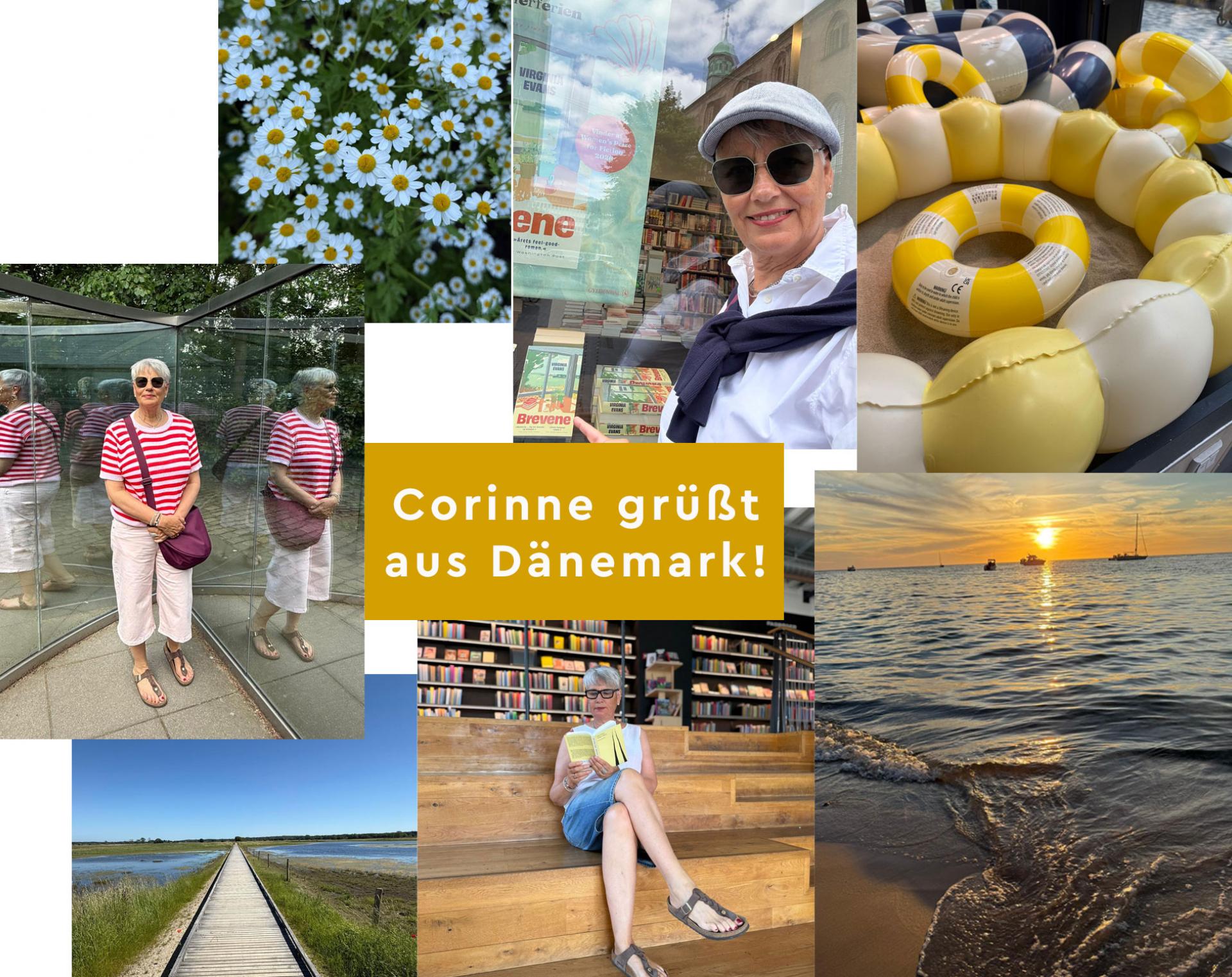 Taschenbücher für den Urlaub