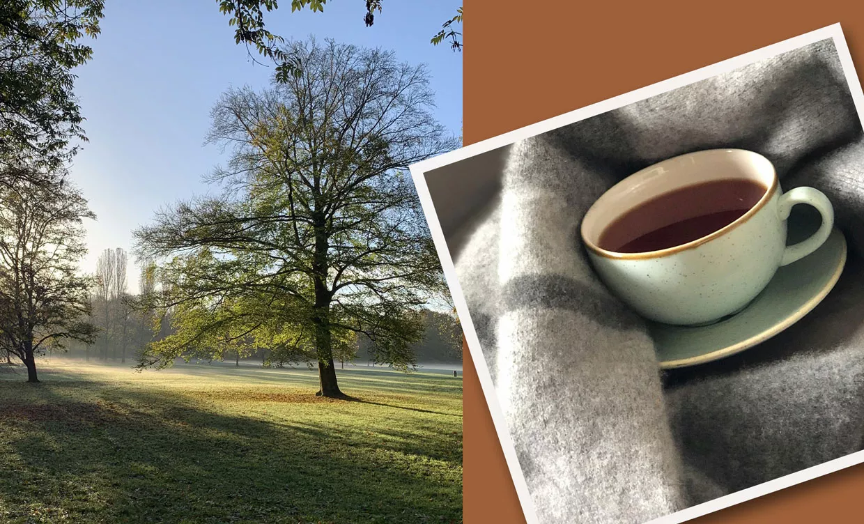 Die gemütliche Jahreszeit beginnt gemuetlich-herbst-lesen