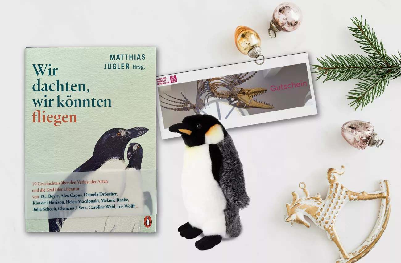 Wir dachten, wir könnten fliegen