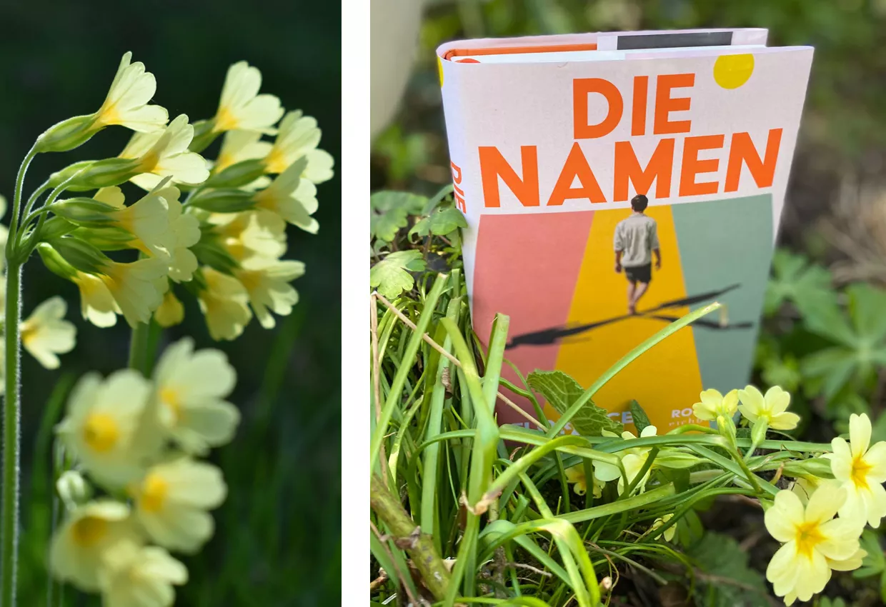 Die-Namen_Florence-Knapp