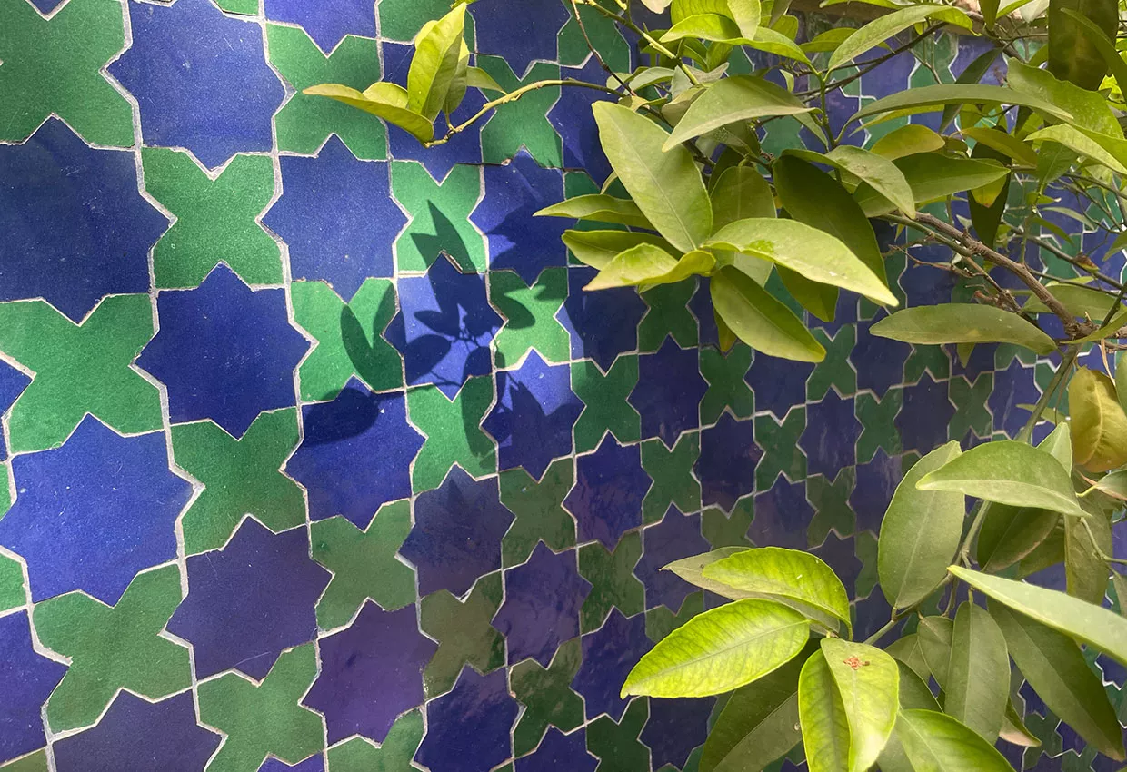 Jardin Majorelle