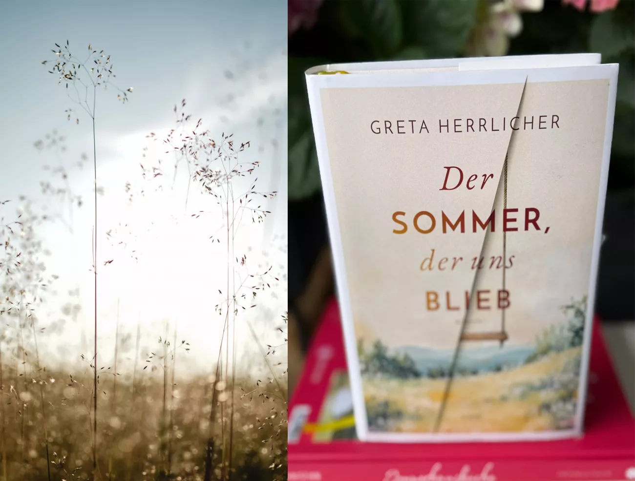 Der Sommer, der uns blieb