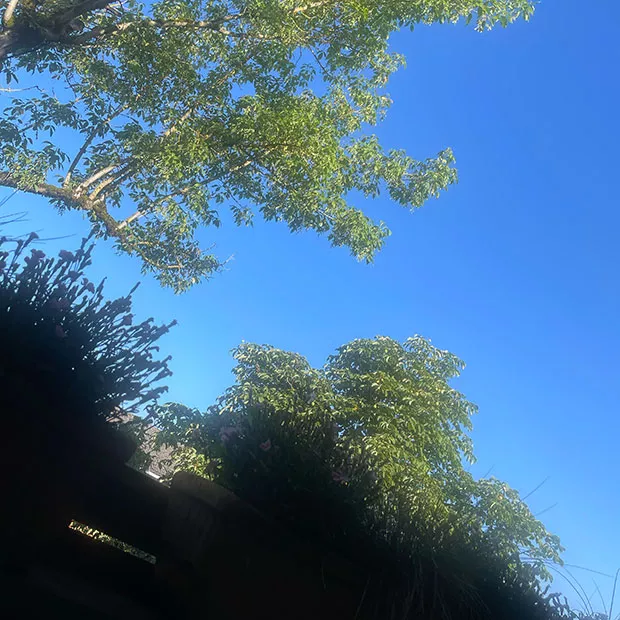 Blick-in-den-Himmel