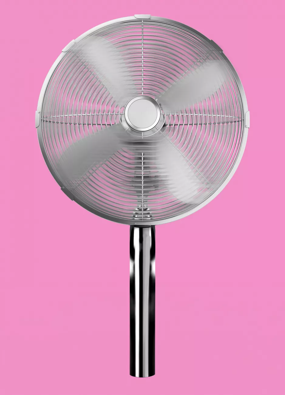 Ventilator auf Rosa