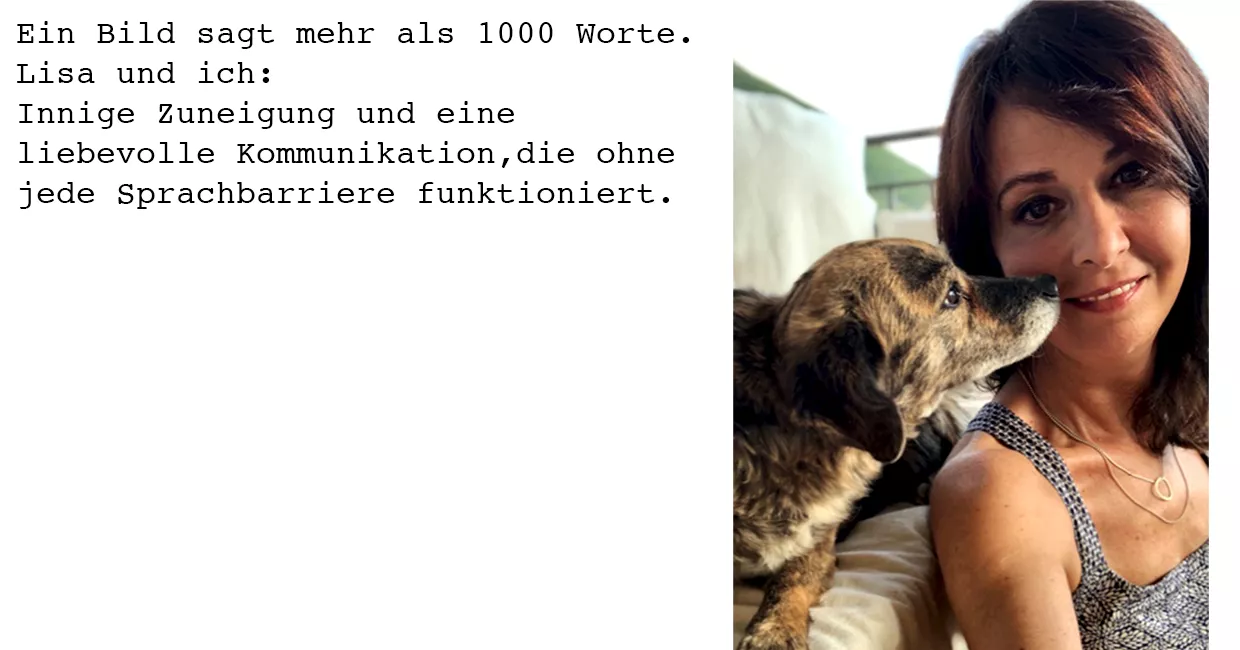 Die schönen Erinnerungen bleiben für immer