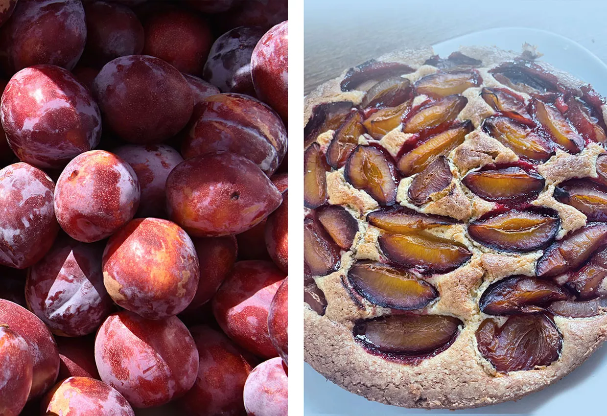 glutenfreier-zwetschgenkuchen-glutenfrei-backen-herbst-pflaumen.jpg