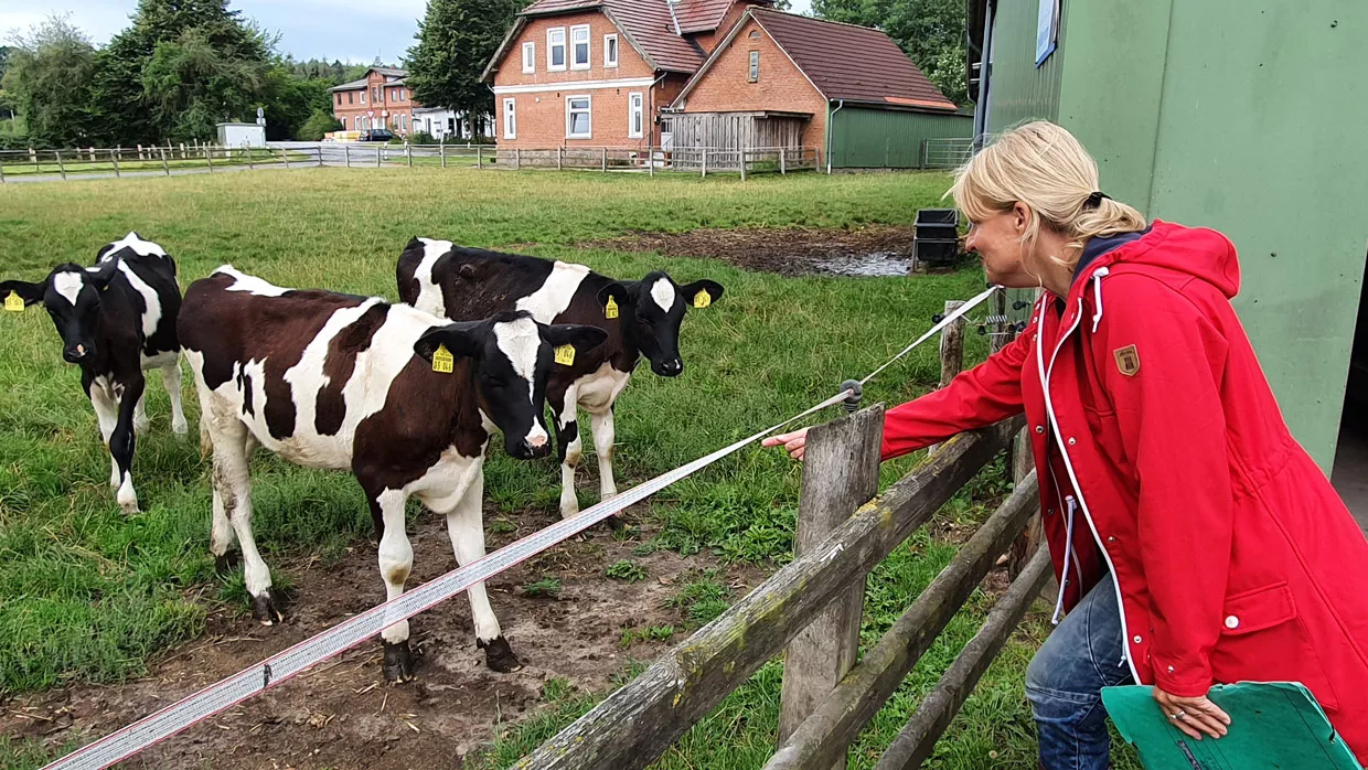 Tierwohl