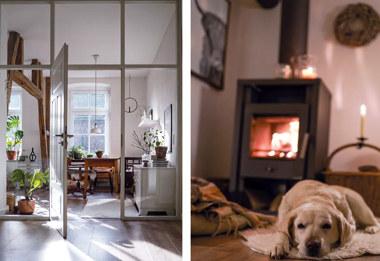 lieblingsplatz-leben-mit-hund-kaminofen