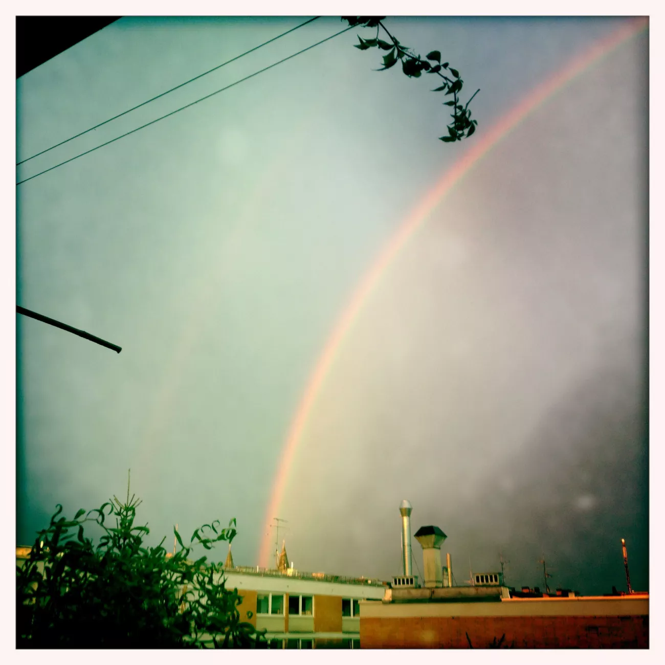 Regenbogen