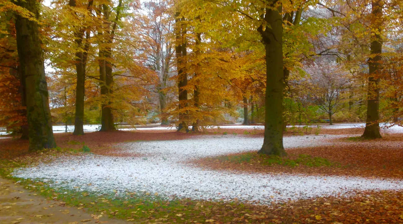 Novemberschnee