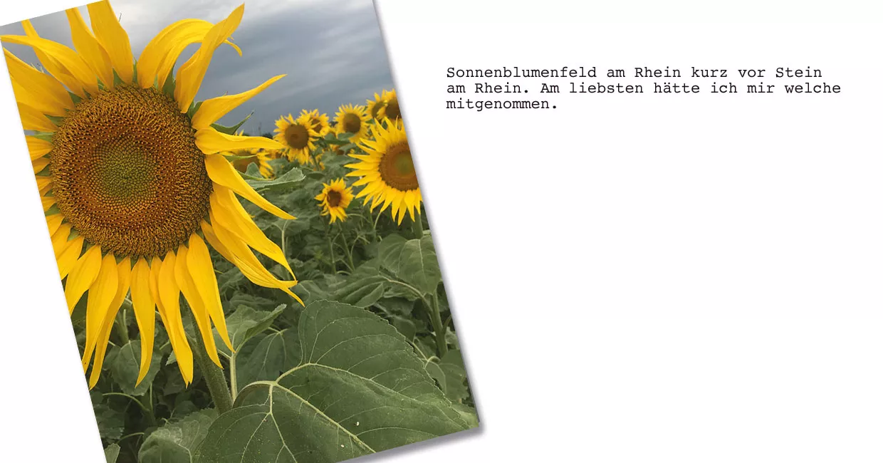 Rheintalradweg
