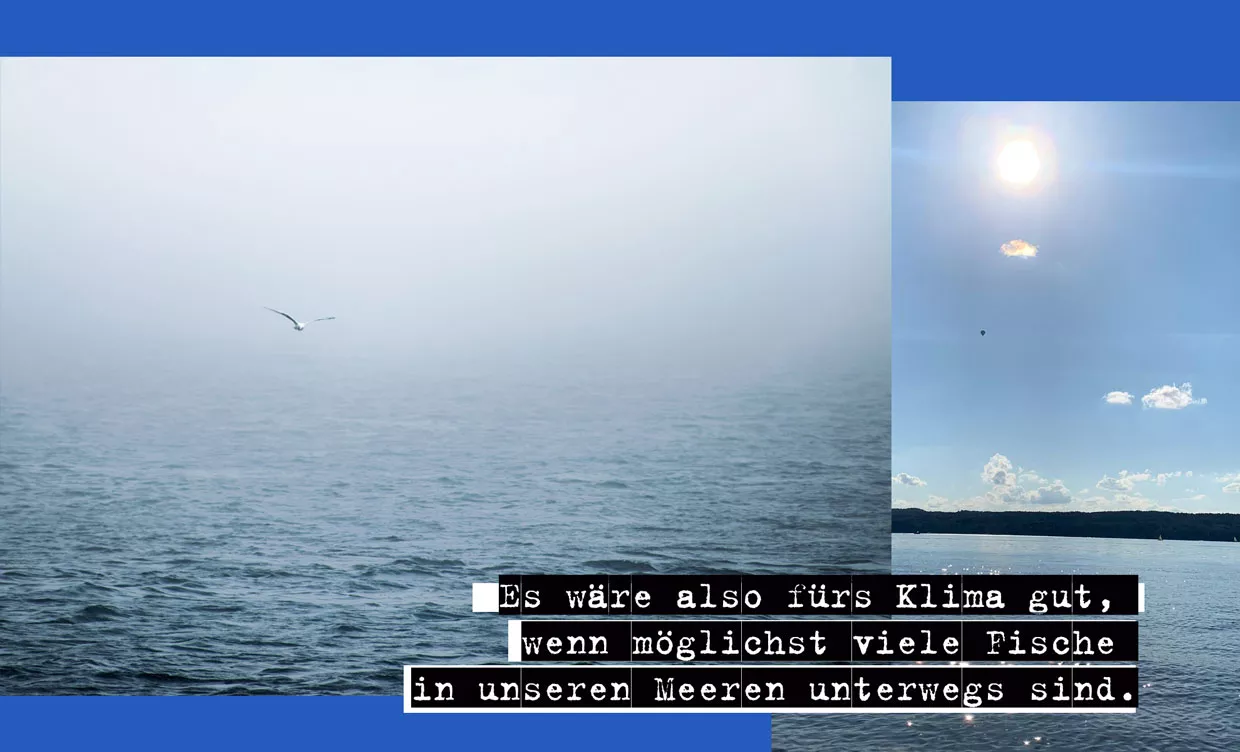 tag-der-ozeane-endoffishday